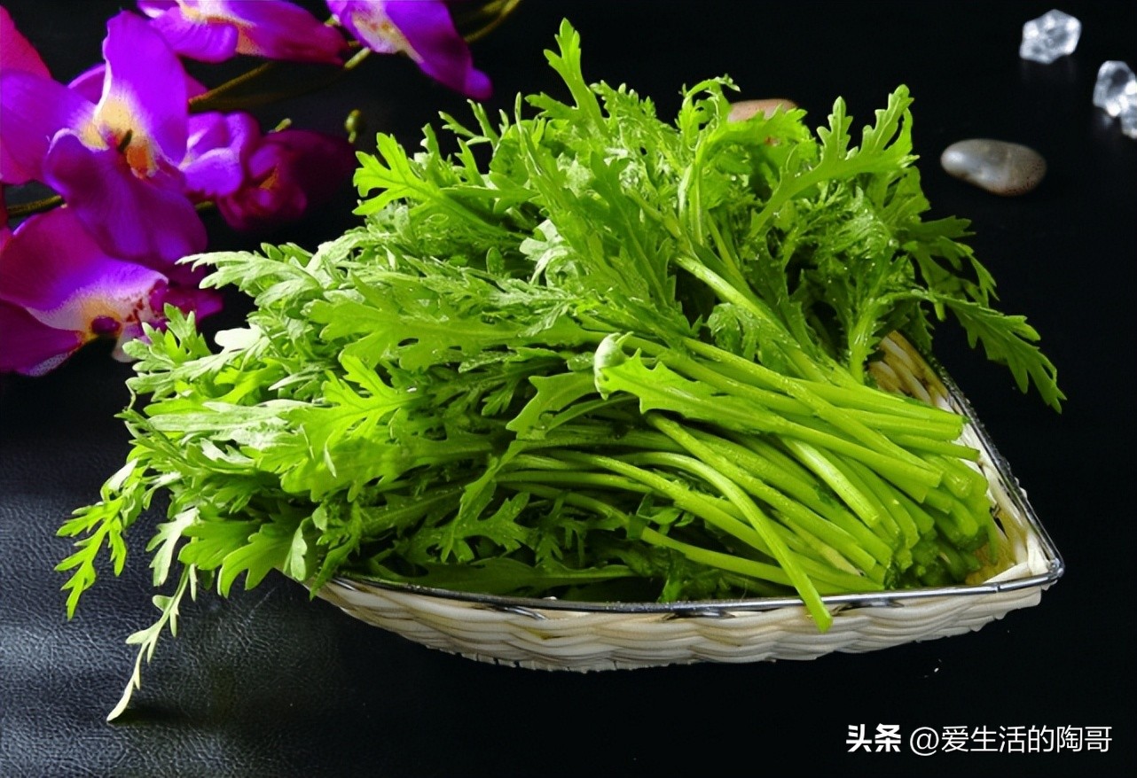 春天养肝应该多吃什么颜色的食物,春天养肝夏天养心秋天养肺冬养肾