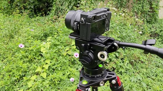 佳鑫畅悦拍鸟专用三脚架推荐,佳鑫悦三脚架怎样组成独脚架