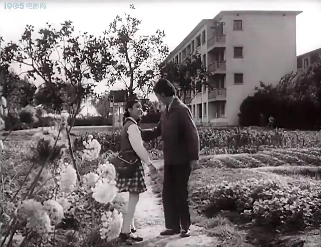 老电影海燕,老电影两个小足球队1956插曲