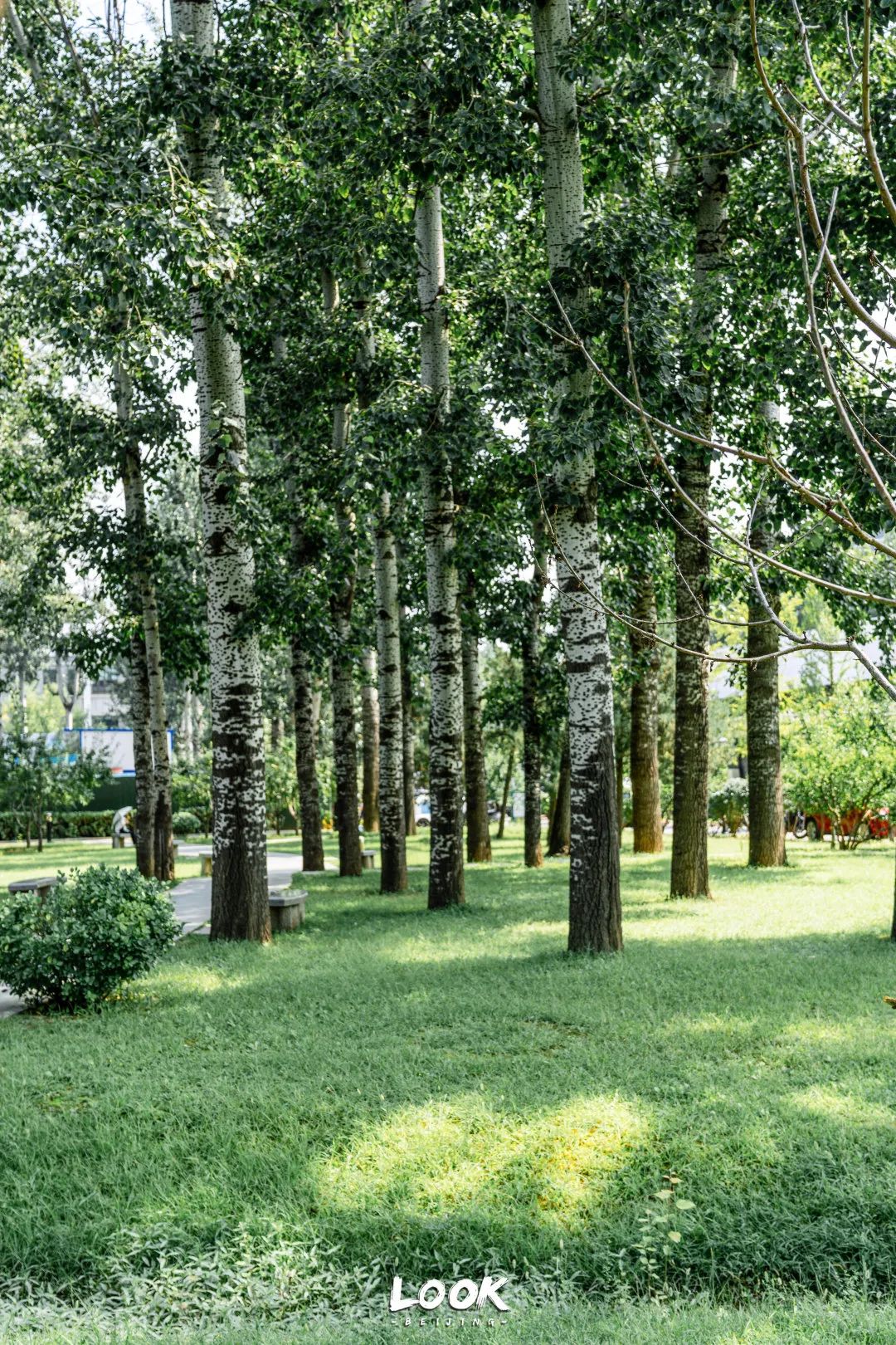 打卡500强喜爱的北京宝藏园区