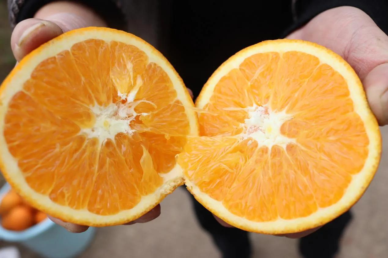 宜宾南溪区仙源街道,宜宾南溪区仙源街道最新消息