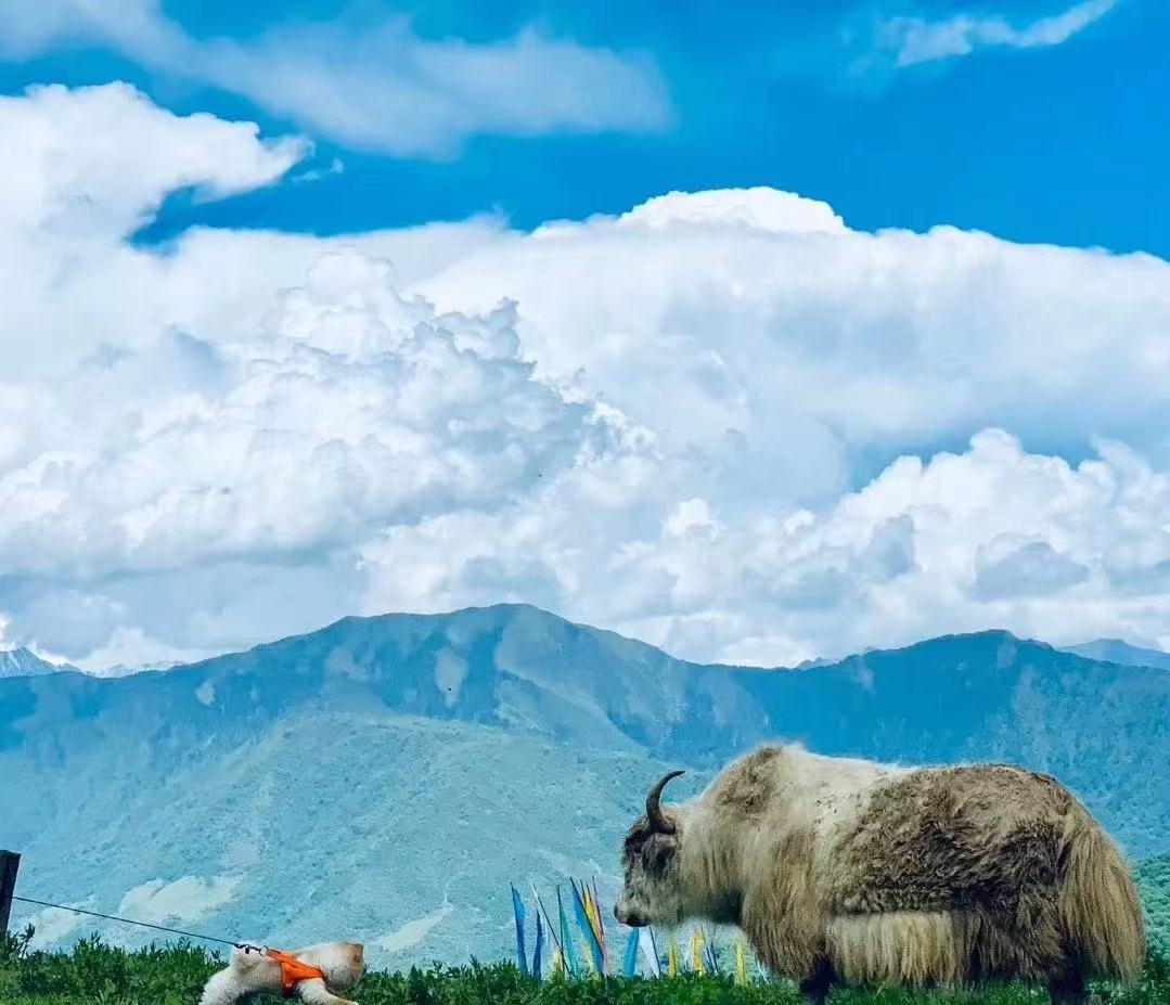 成都周边2-3天短途亲子游,成都2天短途旅游