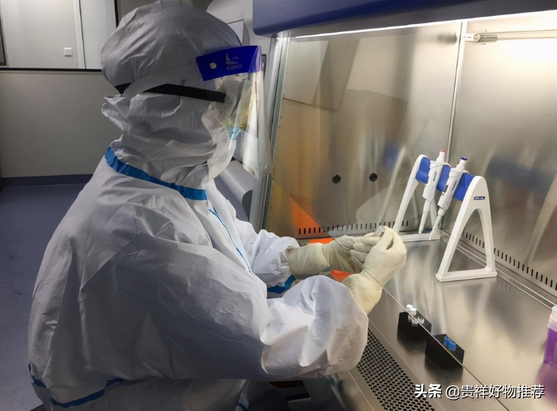 以前做的核酸检测可以查记录吗,如何查到以前的核酸检测报告记录