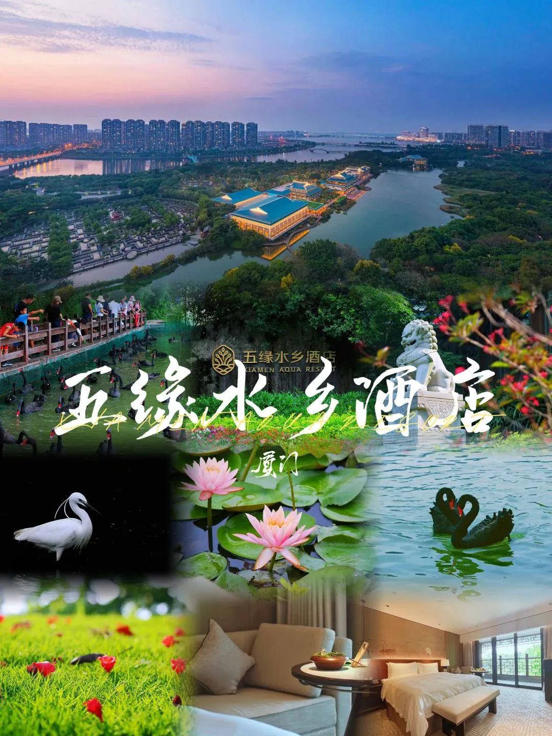 厦门最有特色的酒店,厦门最有体验感的酒店