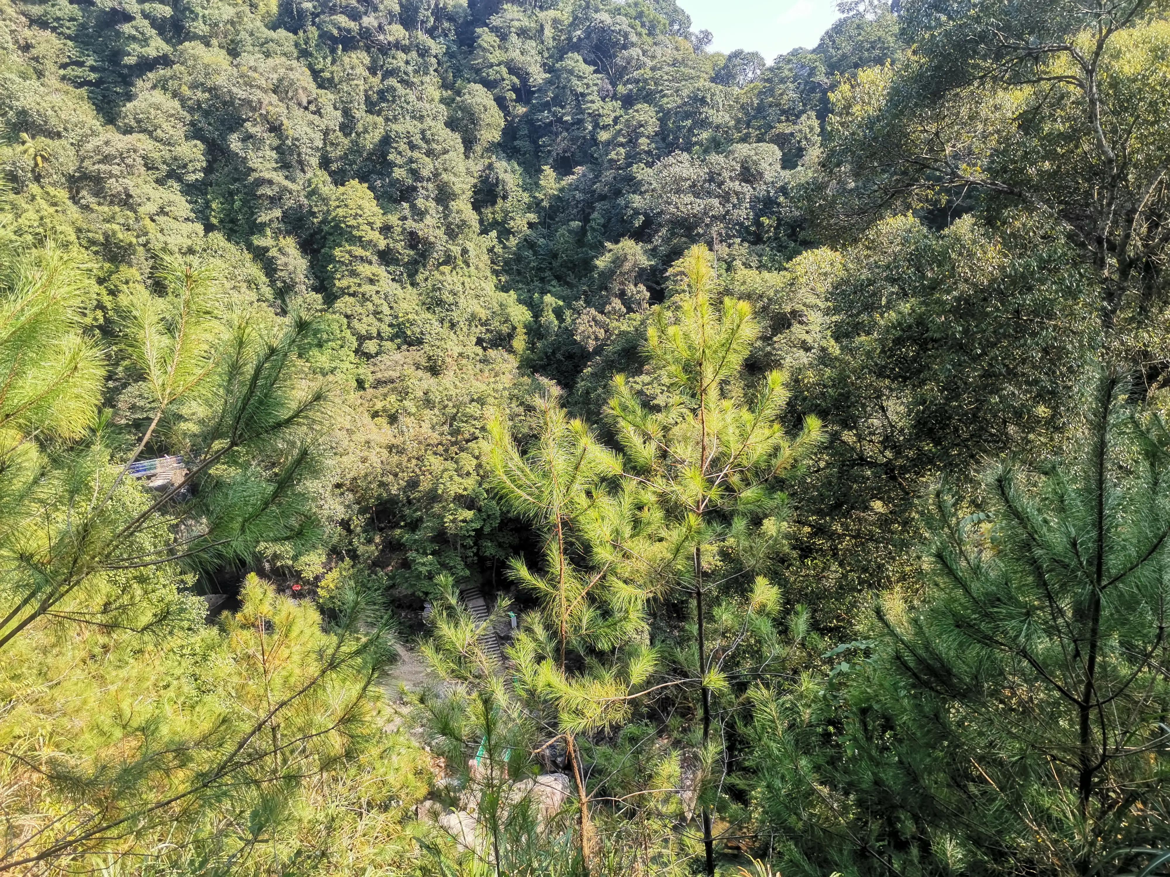 南昆山温泉民宿,南昆山国家森林公园