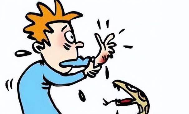 眼镜王蛇吞掉了条蟒蛇,眼镜王蛇生吞