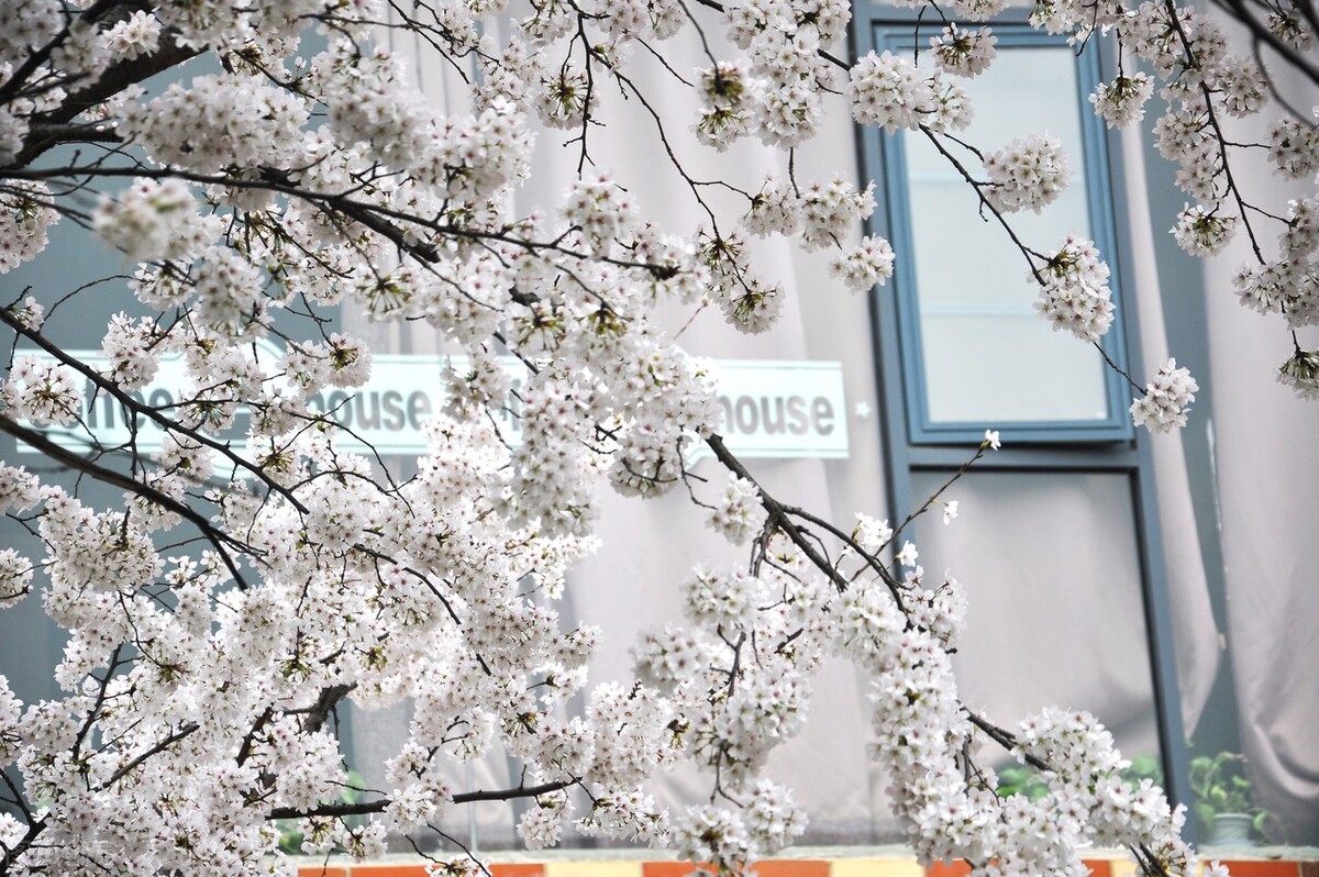 拥有一个好的性格需要多久,拥有好的心态就能成功的事例