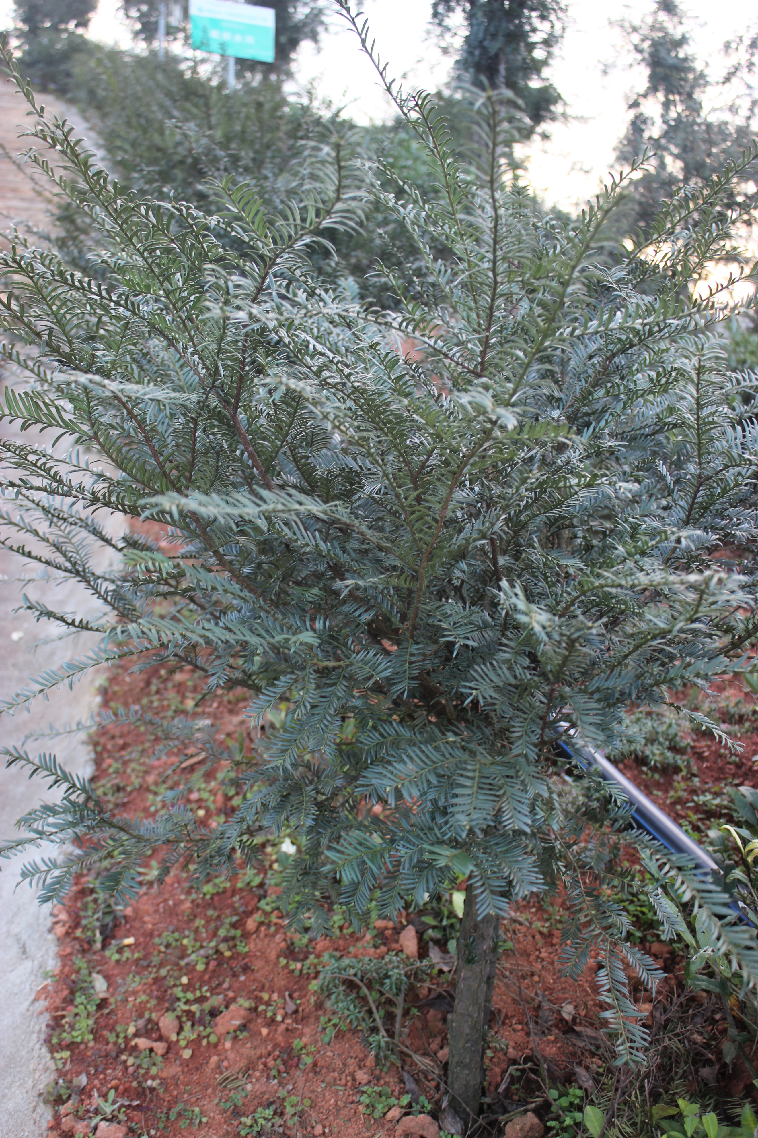 赣州周末出游攻略,春节赣州出发2-3天短途旅游