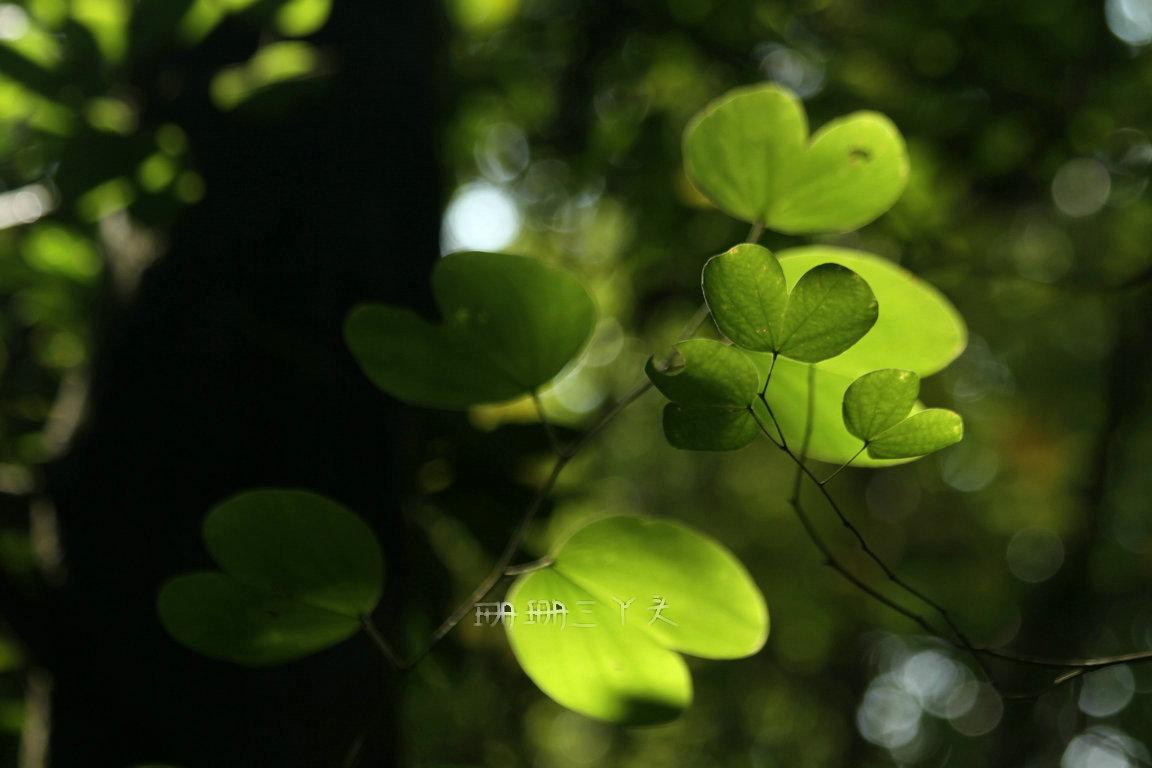 广州一日游最佳路线免费好玩景点,广州游玩景点一日游推荐路线
