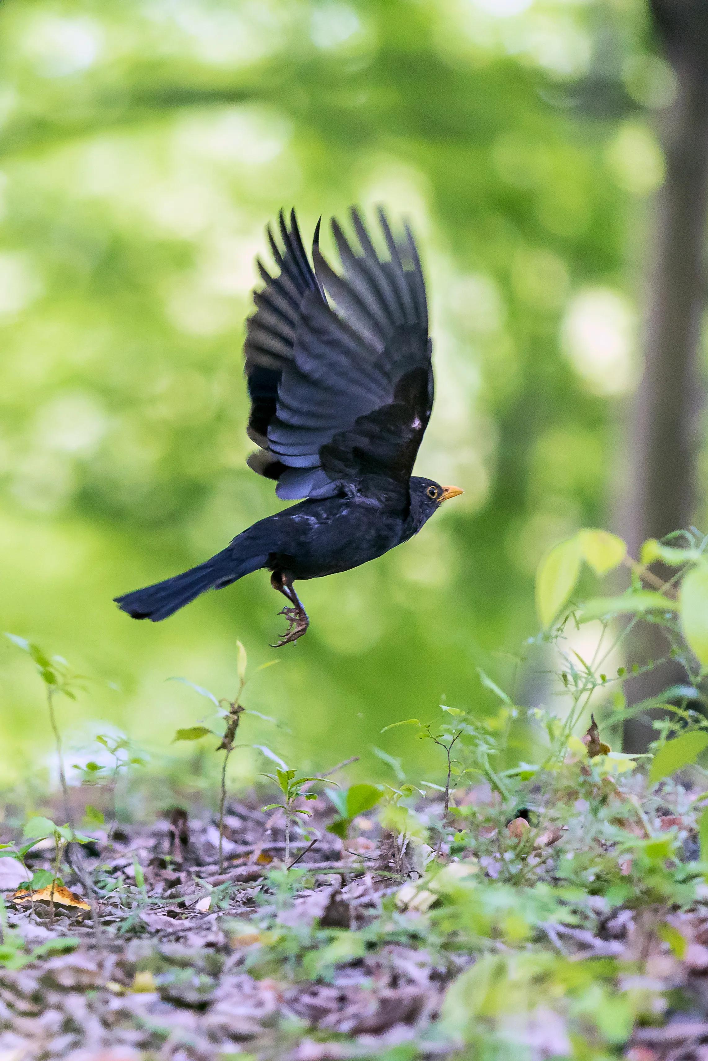 上海市嘉定区安亭国际汽车城,上海嘉定安亭国际汽车城