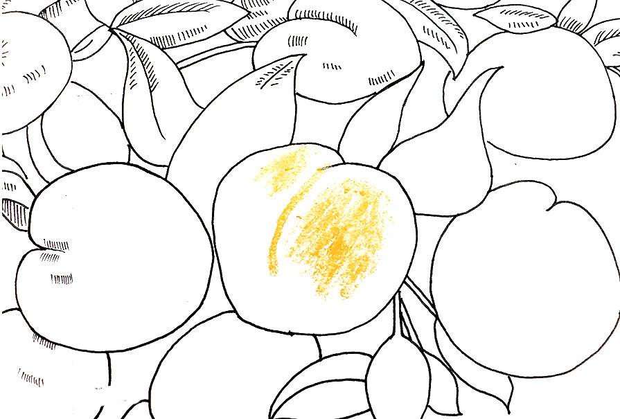 桃子精解说,桃子精万岁