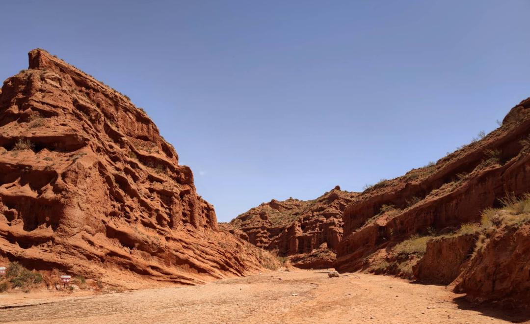 南航随心飞每年都可以买吗,南航新款随心飞