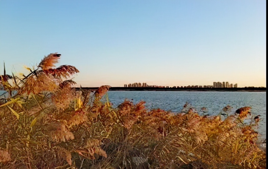 郭小川团泊洼的秋天,团泊洼的秋天读后感