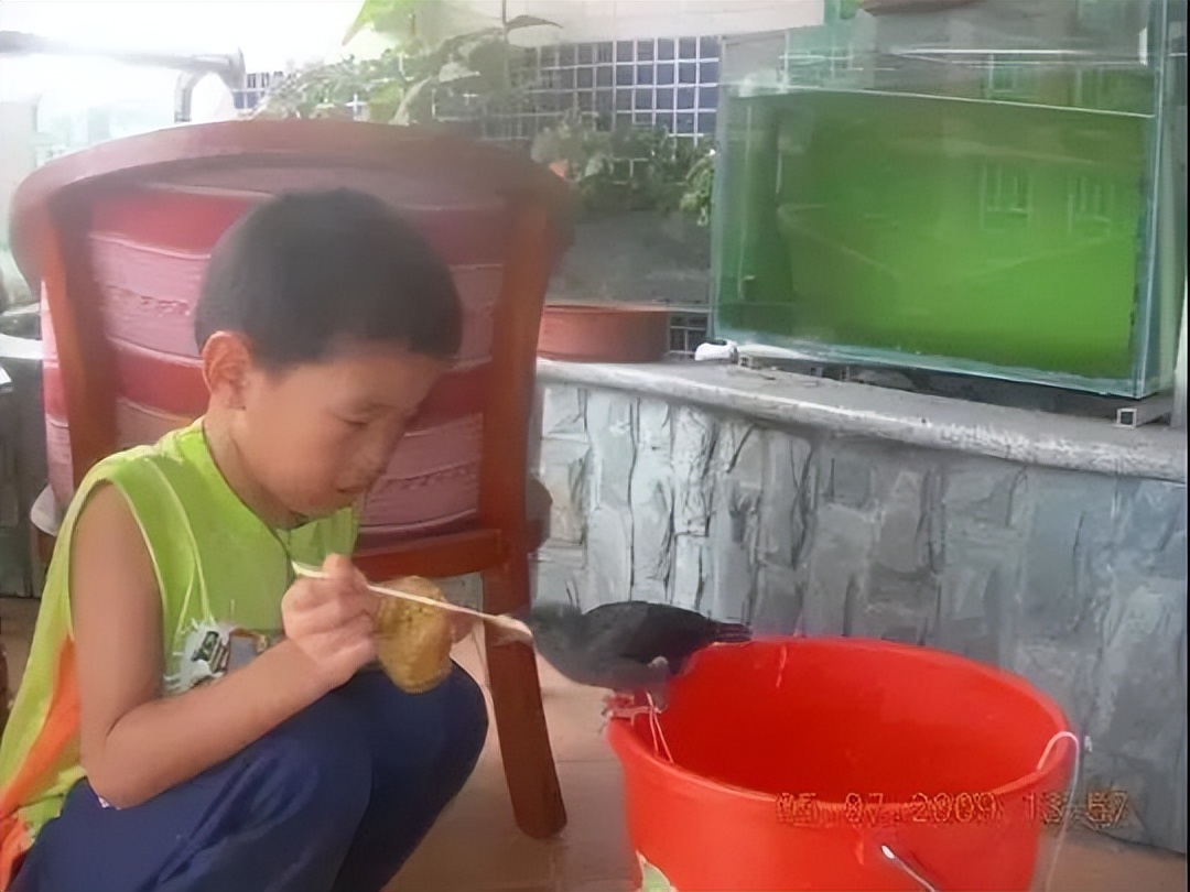 广州单亲爸爸花高价培养儿子，拒绝再婚，19岁儿子留学后却自杀了