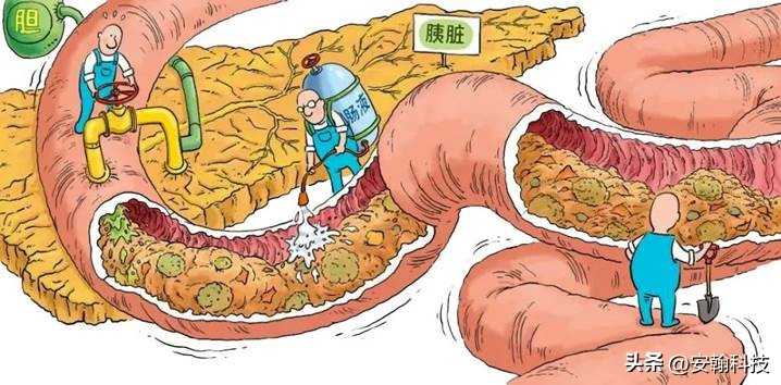 安翰科技磁控胶囊胃镜怎么检查,安翰磁控胶囊胃镜能检查清楚吗