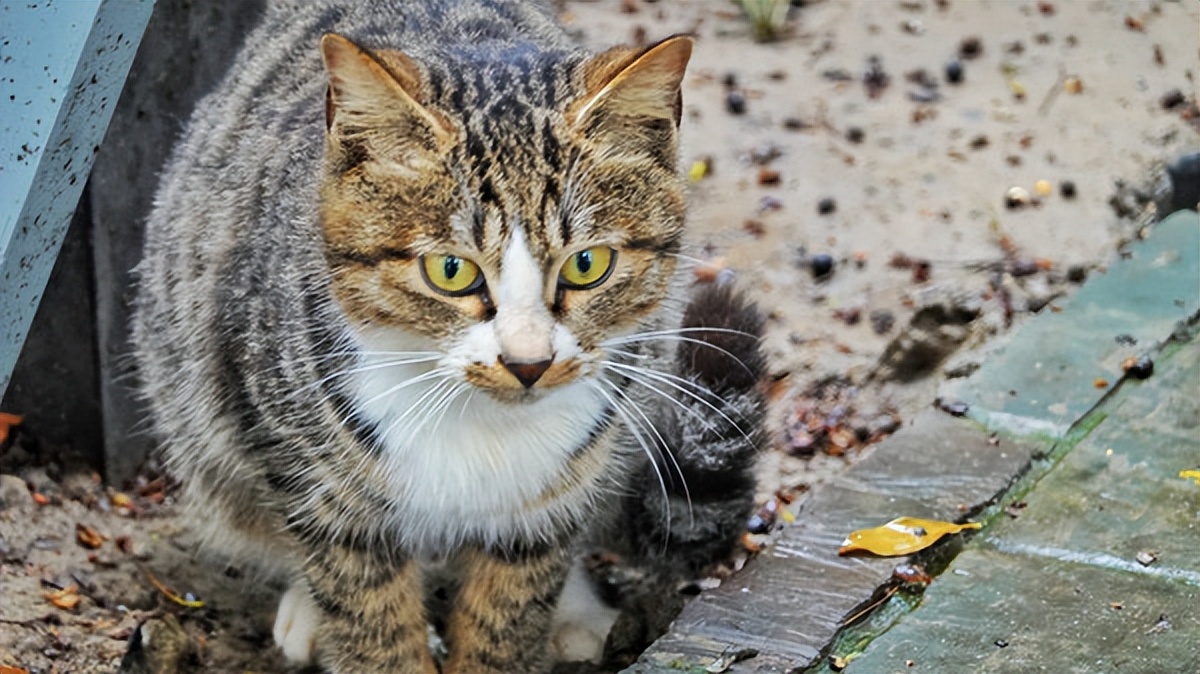 在江苏的“绿林仙海”中，寻找侠气与柔情