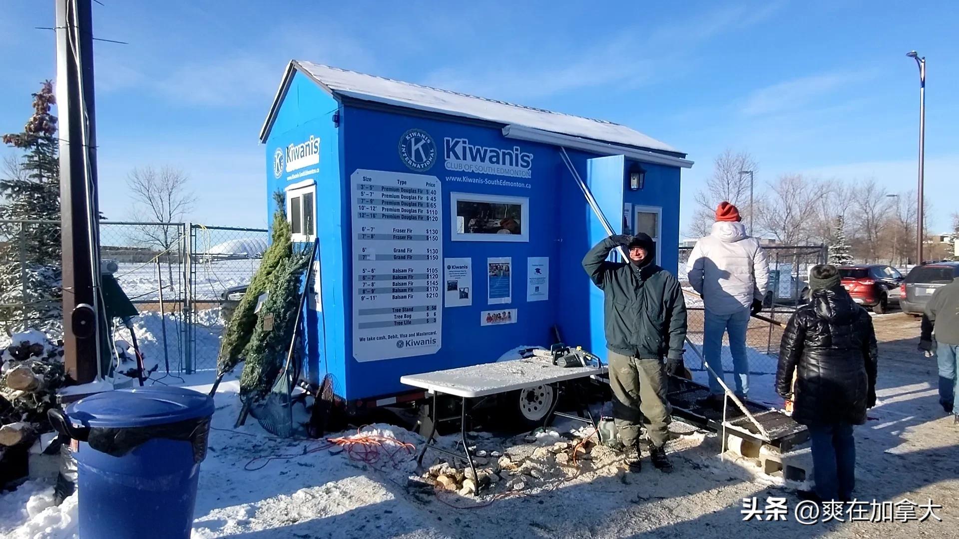 加拿大圣诞树多少钱一棵,国外如何用真树做圣诞树