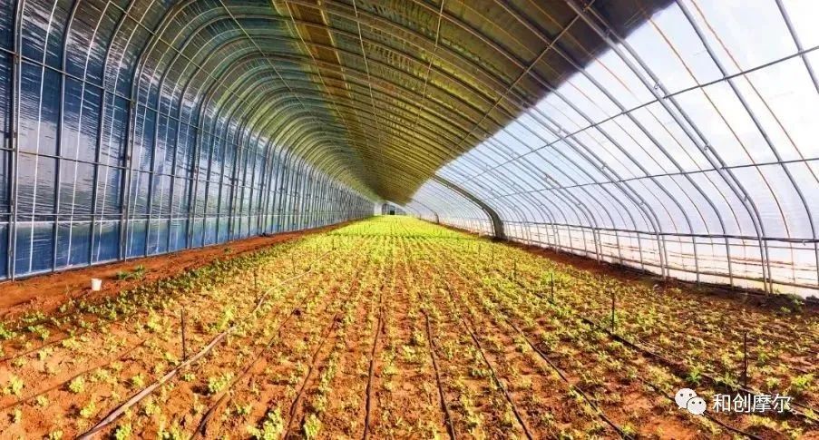 积极探索村集体经济发展模式,探索农村集体经济联合社模式