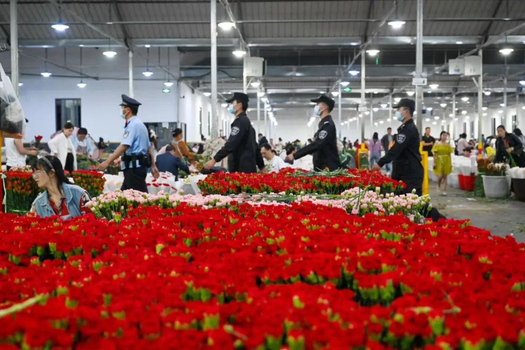 带你看看斗南鲜花市场,来斗南看看全亚洲最大的花卉市场