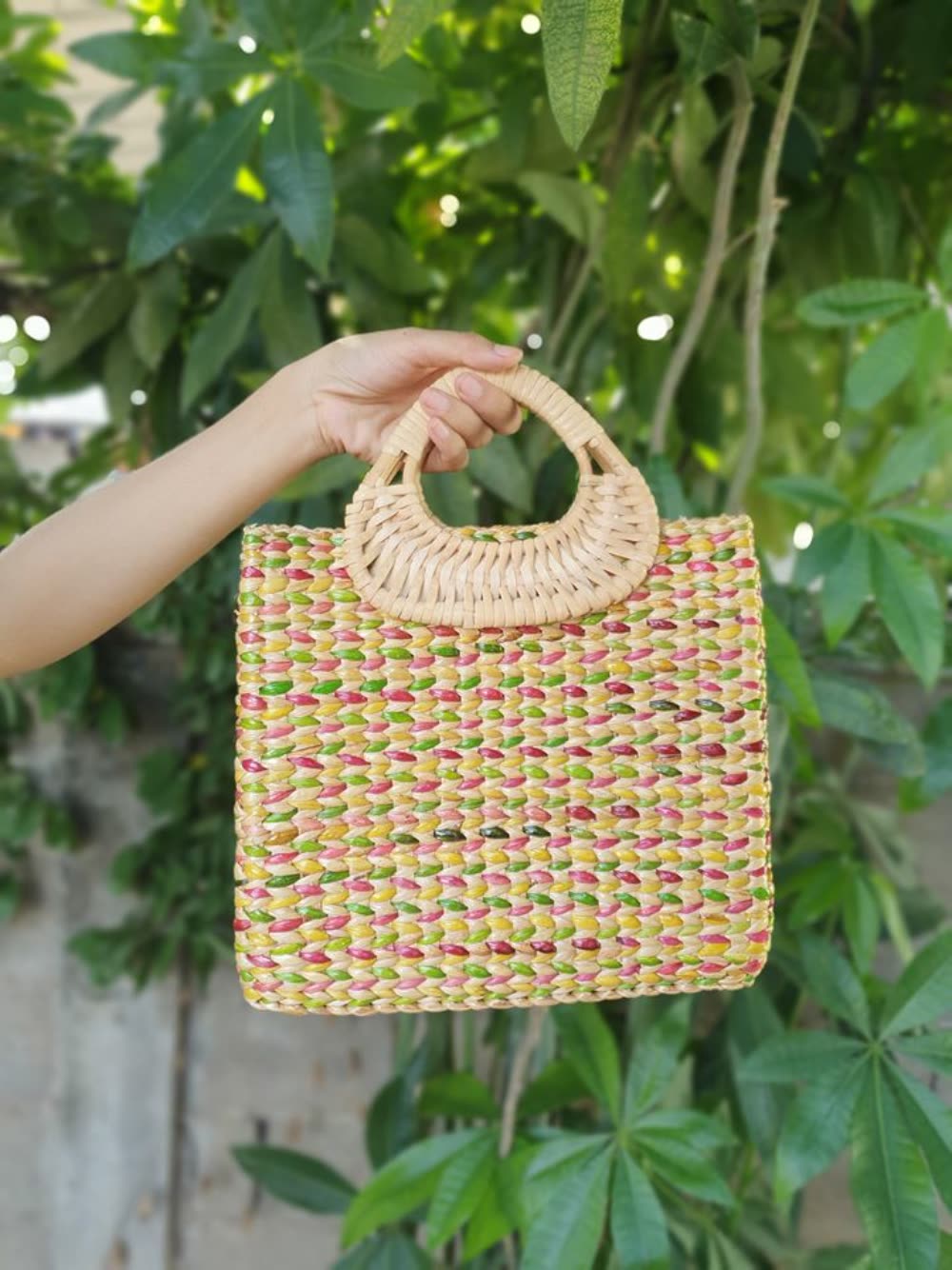 为啥柬埔寨还大量种植水葫芦,柬埔寨的水葫芦怎么变废为宝