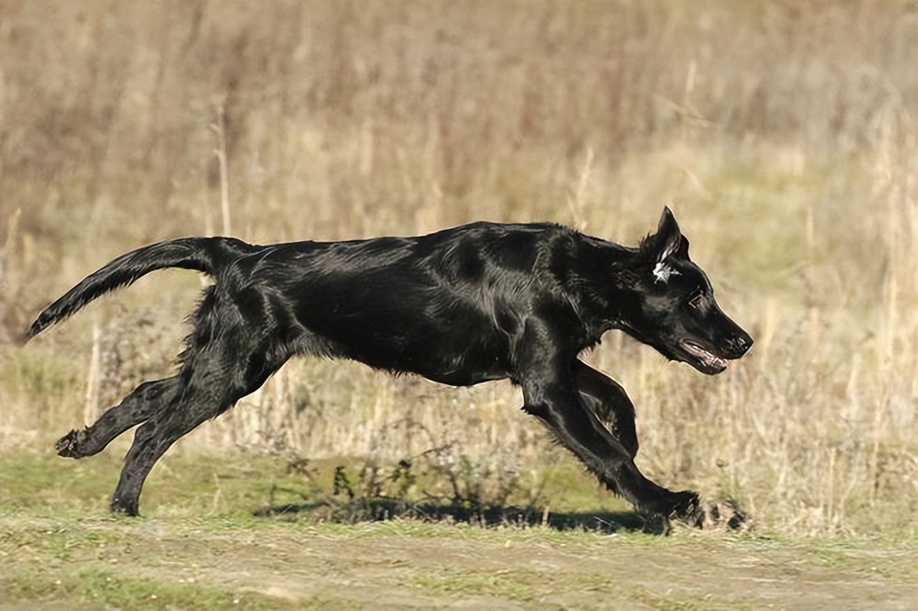 高高的紫云山,我们的青春故事曾在这里演绎