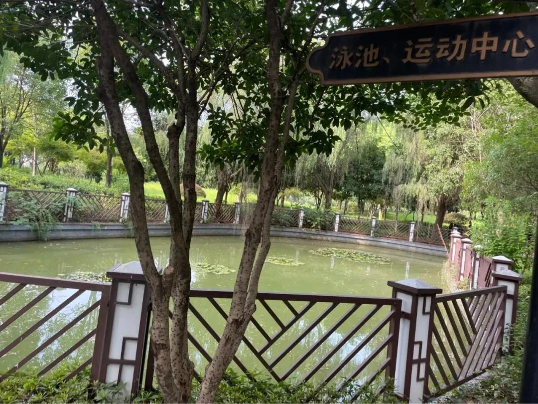 痛心的购房经历,嘉兴买房后悔的真实感受