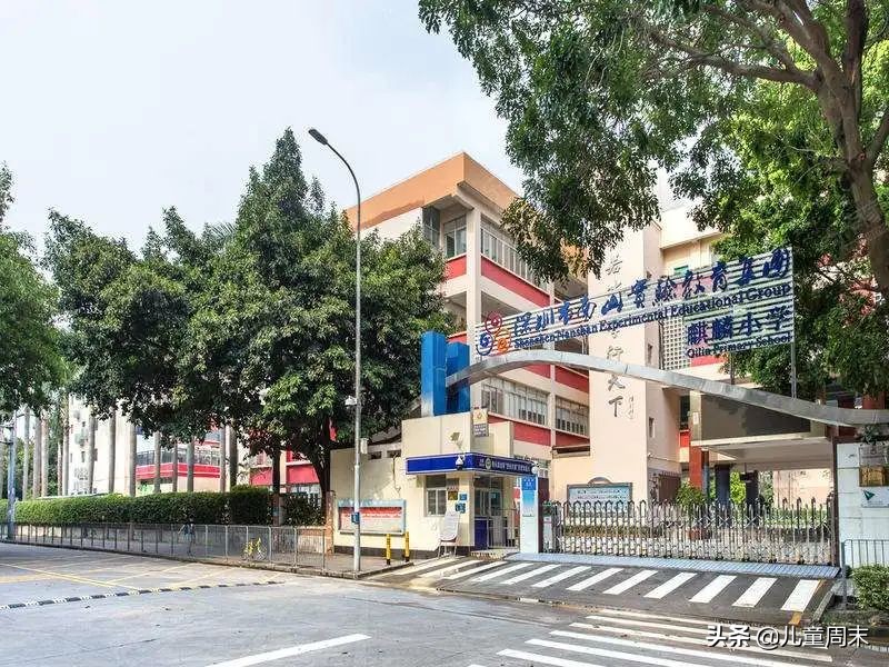2021深圳热门小学,深圳南山民办小学难进吗