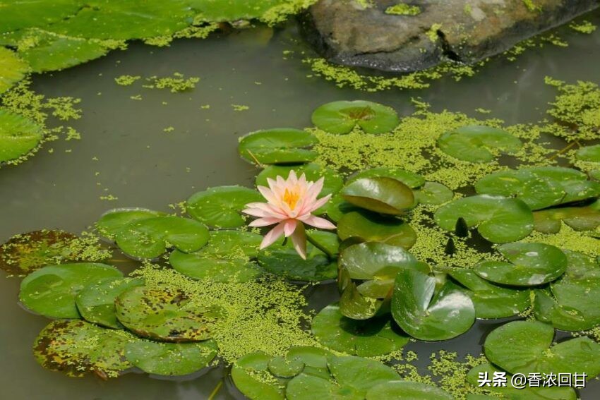 故宫博物院镇馆之宝,故宫博物院门票预约
