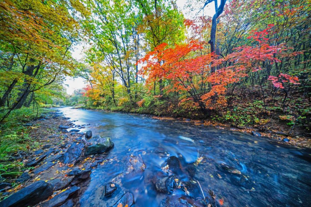 全国三大研学示范营地,三所基地
