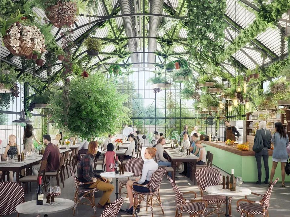 屋顶适合建设哪种绿色屋顶,绿色屋顶建筑