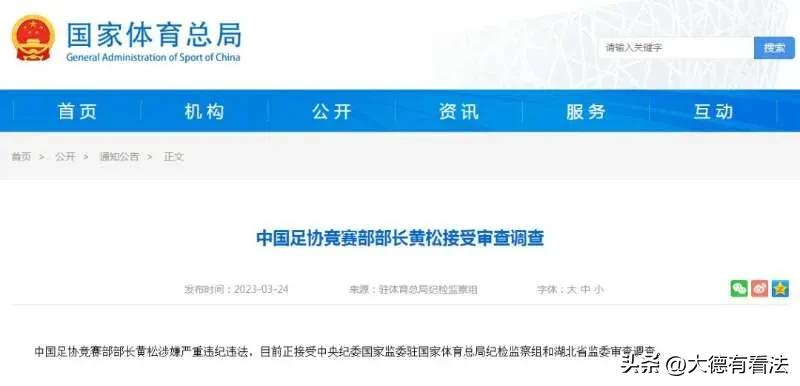 足协高层王小平,足协主任王小平