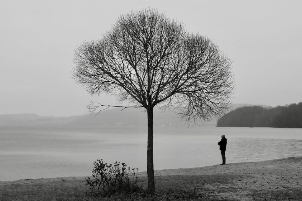 一文了解乌龙茶属于什么茶,大红袍乌龙茶属于什么茶