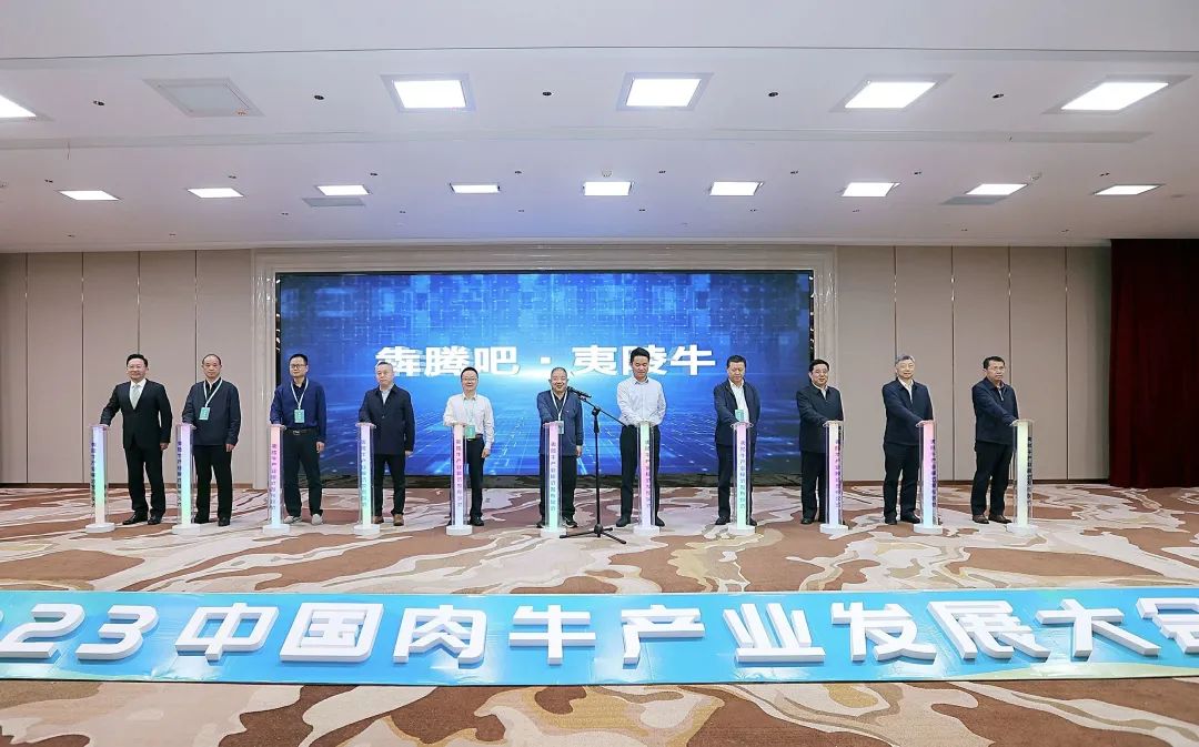 枝江肉牛产业发展,中国肉牛产业规划