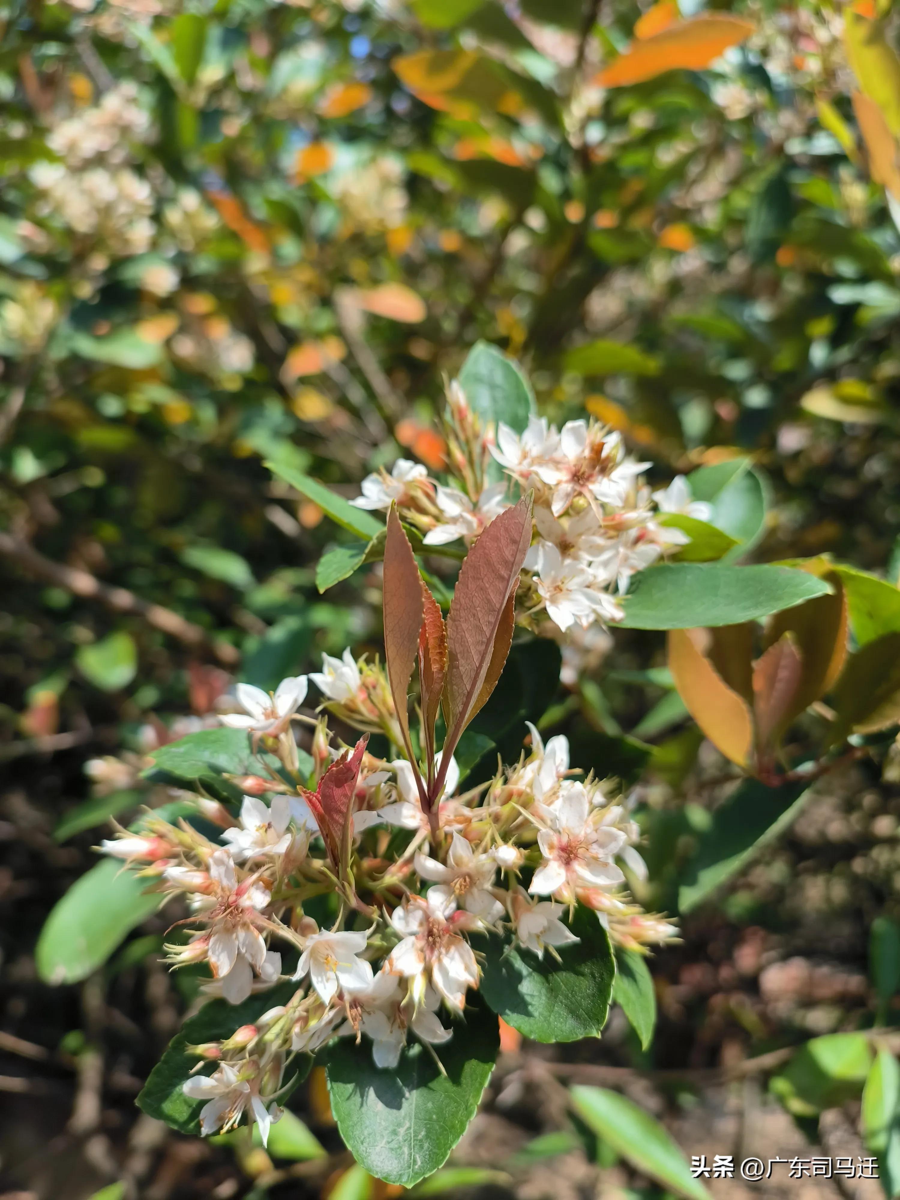 好玩的中山公园,中山公园这儿真美