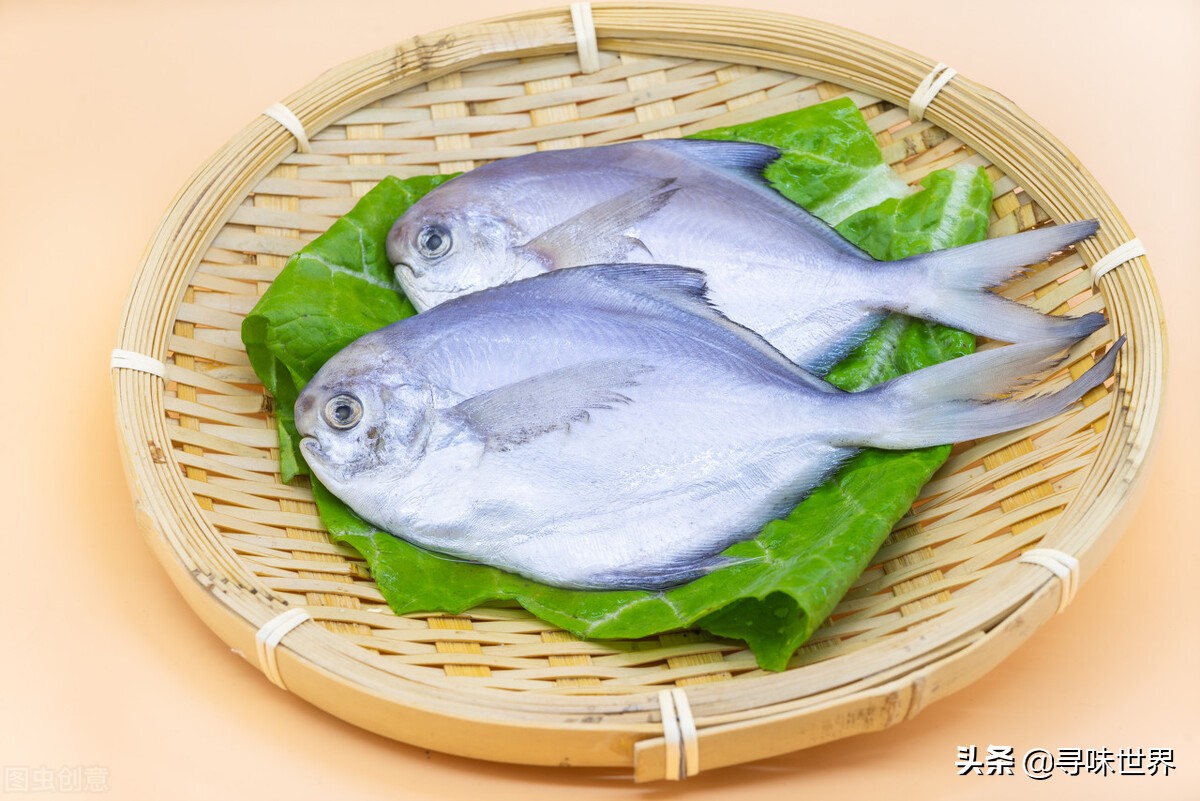 常见海鱼的品种大全及名字,海鱼的品种大全介绍