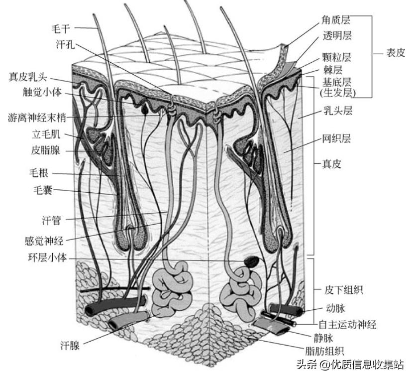 美容书单,美容知识书单