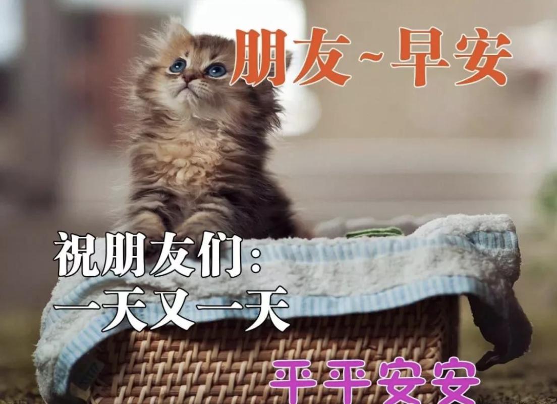 适合早上开心的朋友圈图片,早晨好图片最新朋友圈