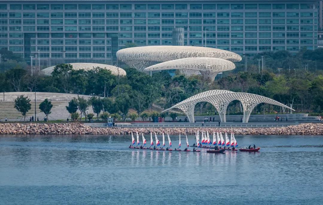 swa娣卞湷椤圭洰,swa娣卞湷