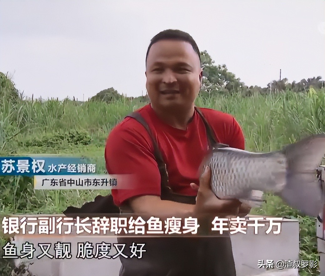 银行副行长辞职赚钱,中国银行副行长辞职