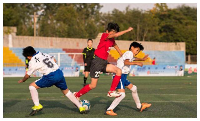 最坑人的培训班,目前培训学校哪些课程是坑人的