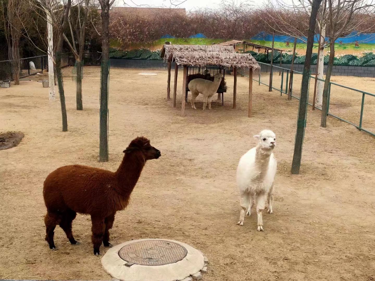 唐山重点暖企惠民政策,唐山惠民中心