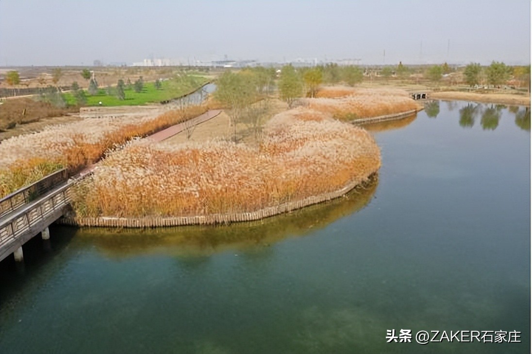 石家庄早新闻,早新闻完整内容