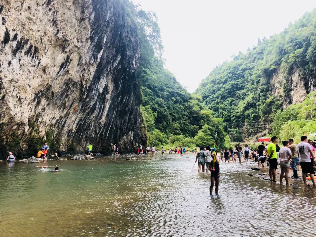南川区金佛山旅游攻略,南川金佛山一日自驾游攻略