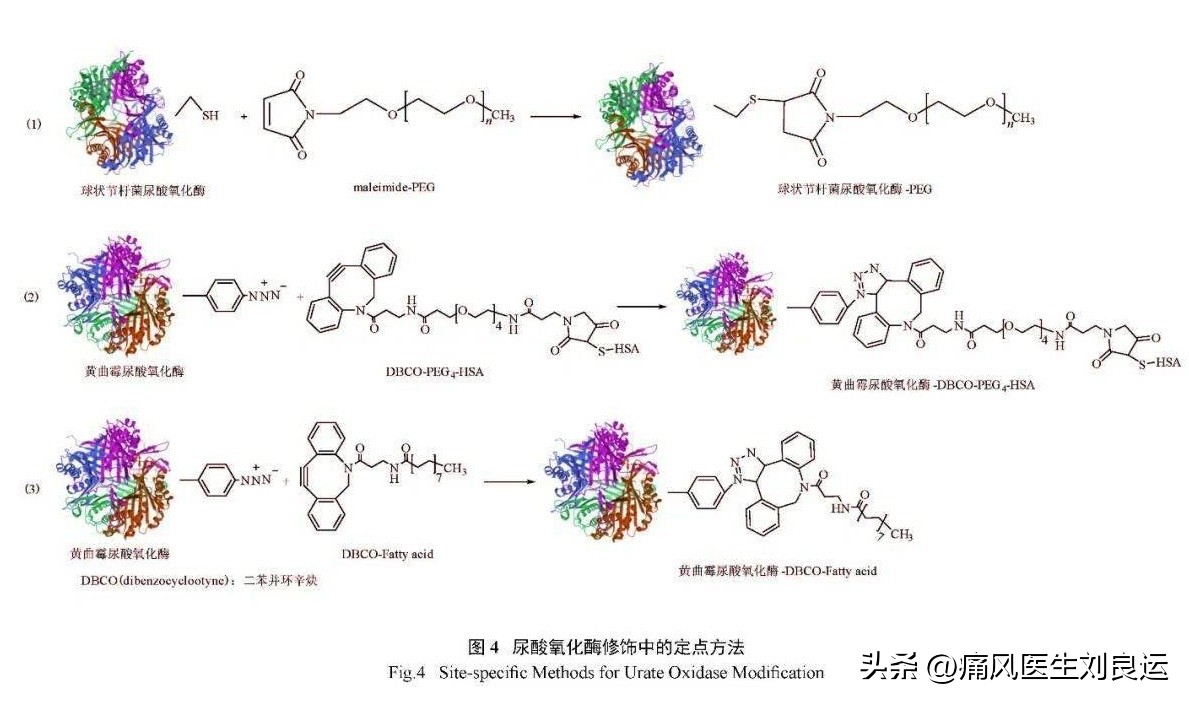 尿酸酶和非布司他,用了非布司他痛风持续发作
