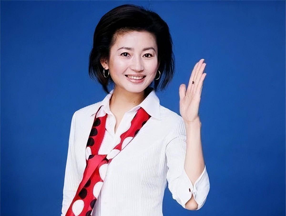 海霞欧阳夏丹不再任央视主持人,央视主持人欧阳夏丹回央视