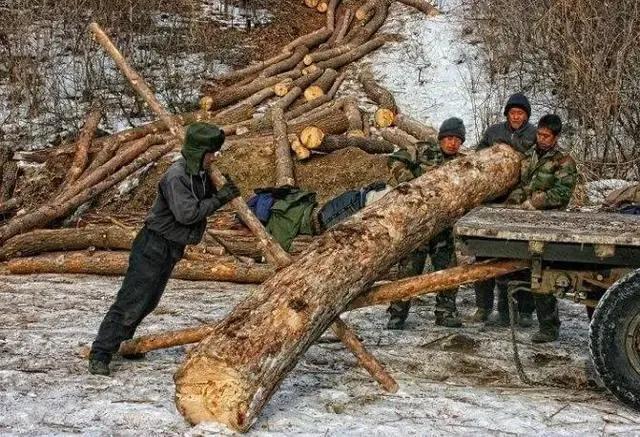 人丑就命苦吗,人丑运气差