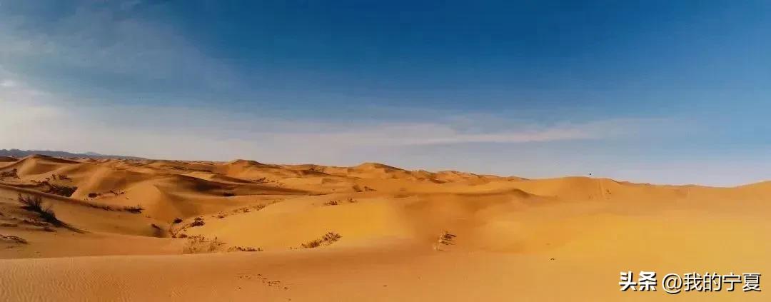 沙坡头的美景怎么写,沙坡头真的很美