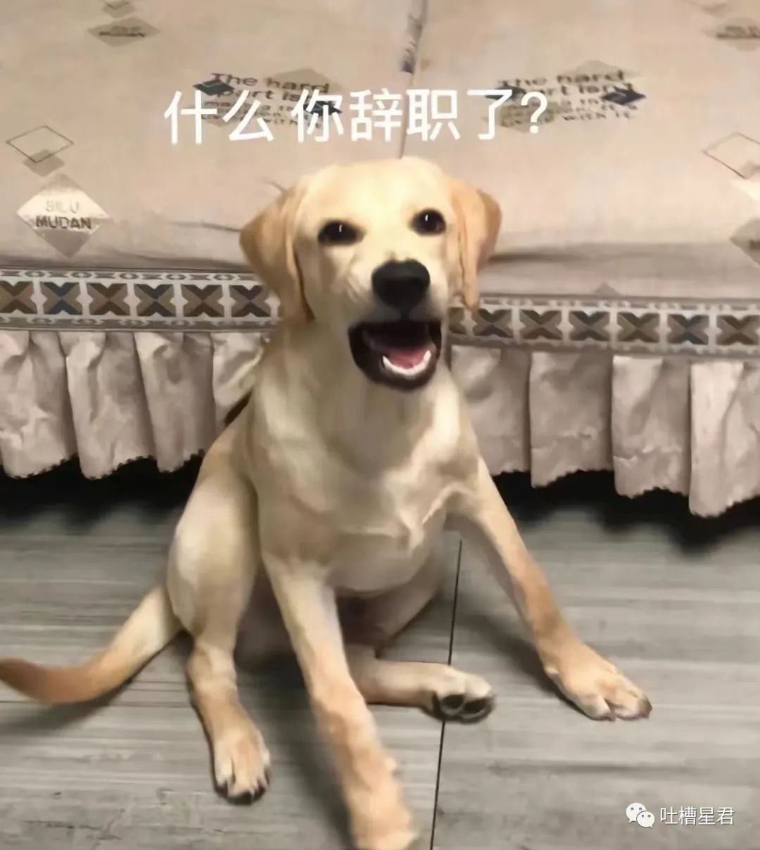 花1千买球拍值得吗,花1千买球拍