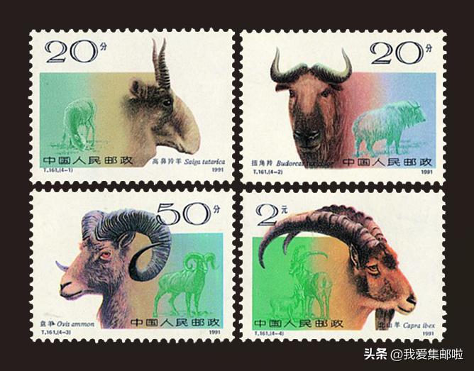 十大濒危动物国际珍惜动物保护日,世界动物日科普视频