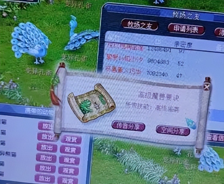 梦幻西游宠环高分攻略,梦幻西游高分宠环